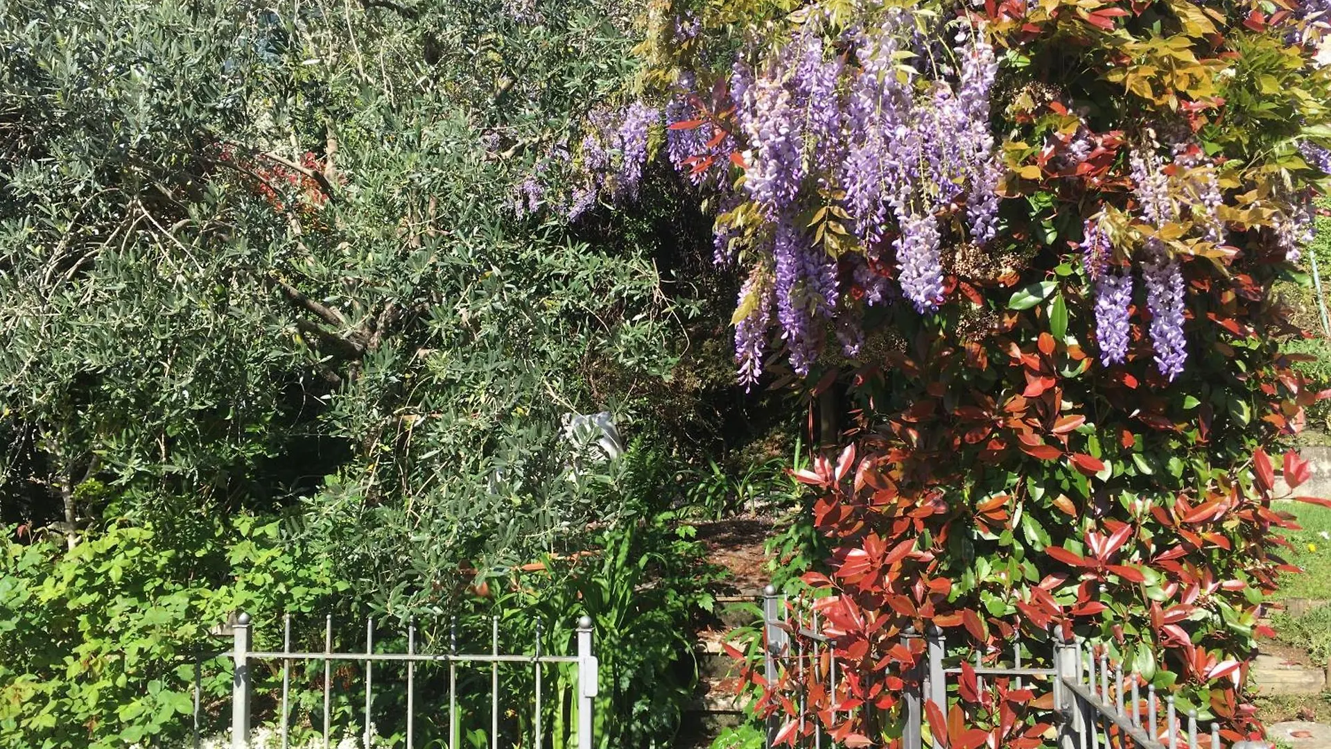 Cav Di Gianfranco Διαμέρισμα Bellano
